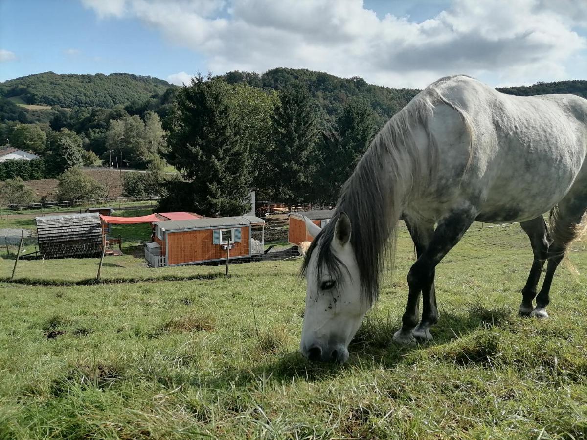 Zuruck Zur Natur - Urlaub Im Zirkuswagen, Sommeratelier Oder Schindelwagen Adenbach Экстерьер фото